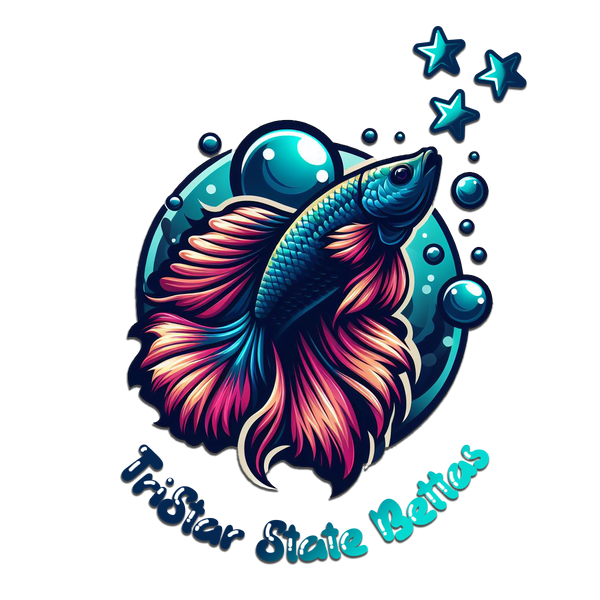 TriStar State Bettas